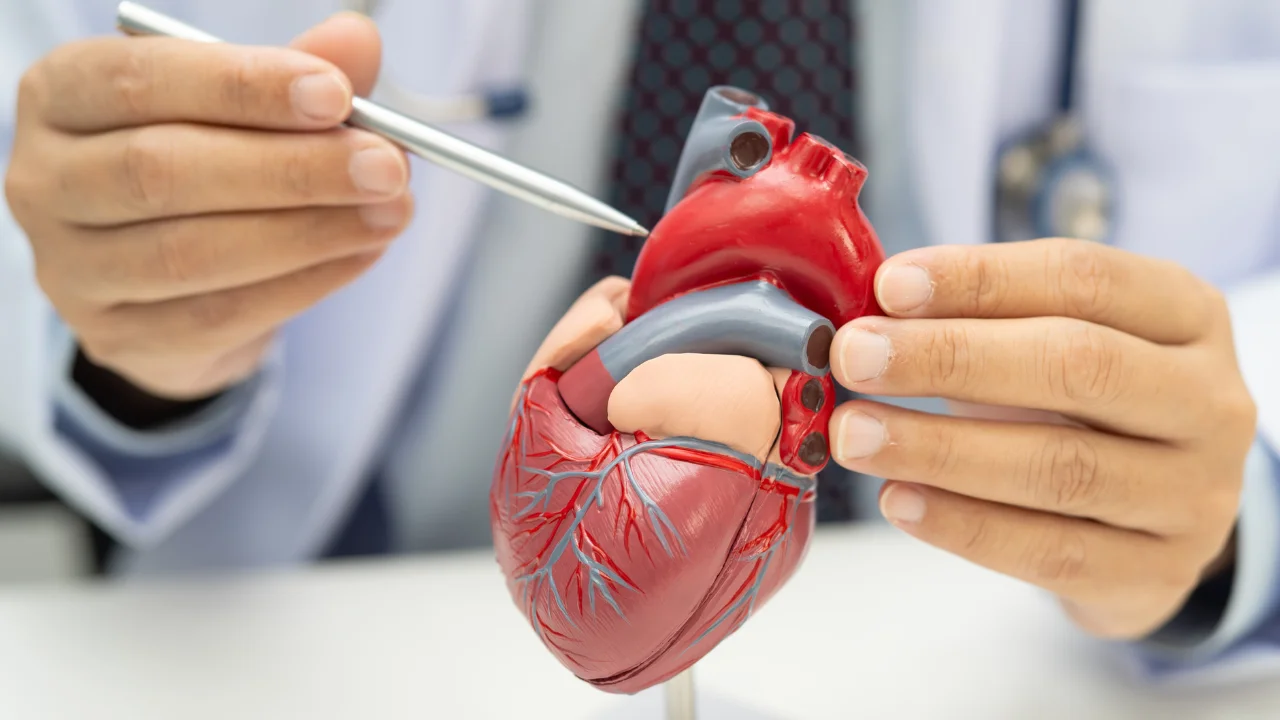 Chirurgie Cardiovasculară