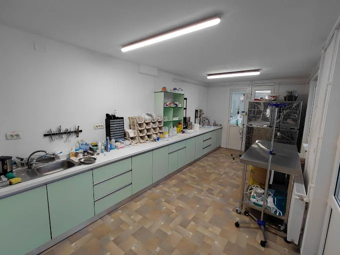 Galerie Vet365 Cabinet Veterinar